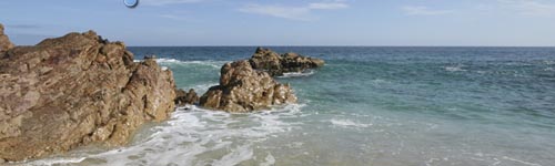 Los Angeles Storm Water Management